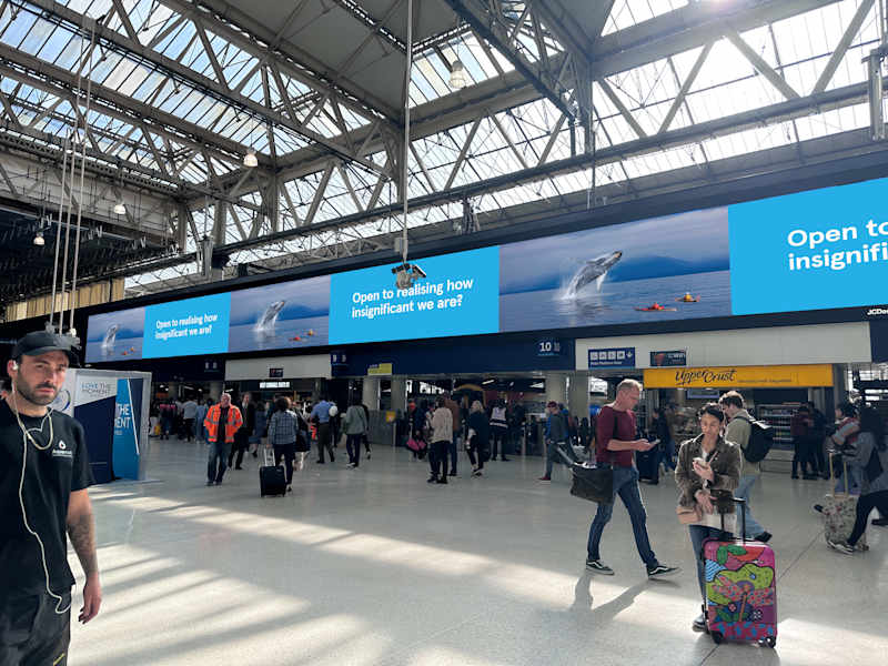 Cover image for Air Transat