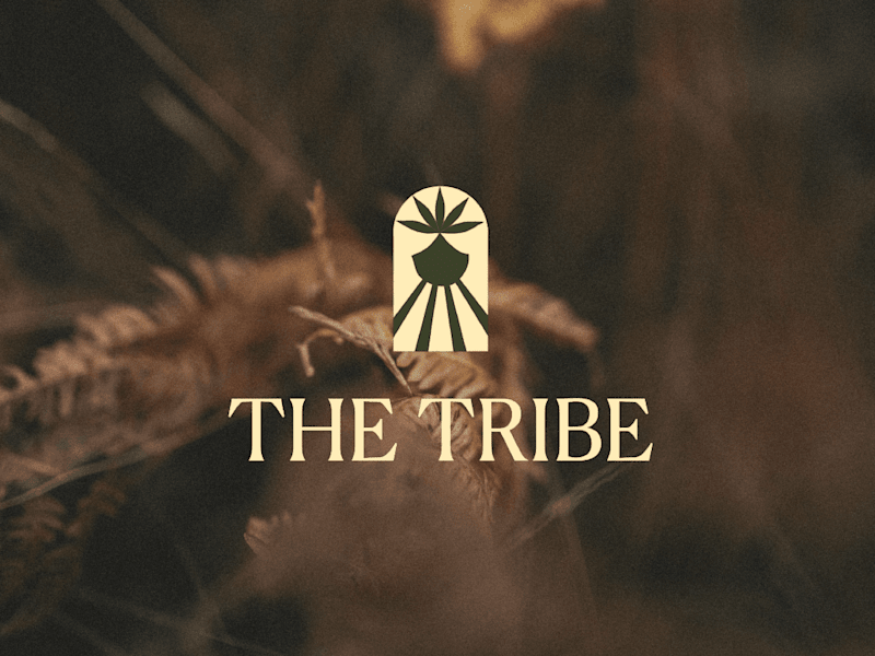 Cover image for Brand Visual Identity