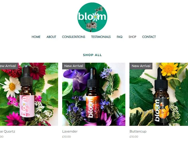 Cover image for Bloom