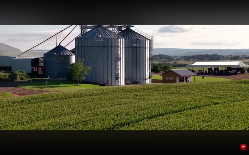 Cover image for Wrote the storyboard, scripted the