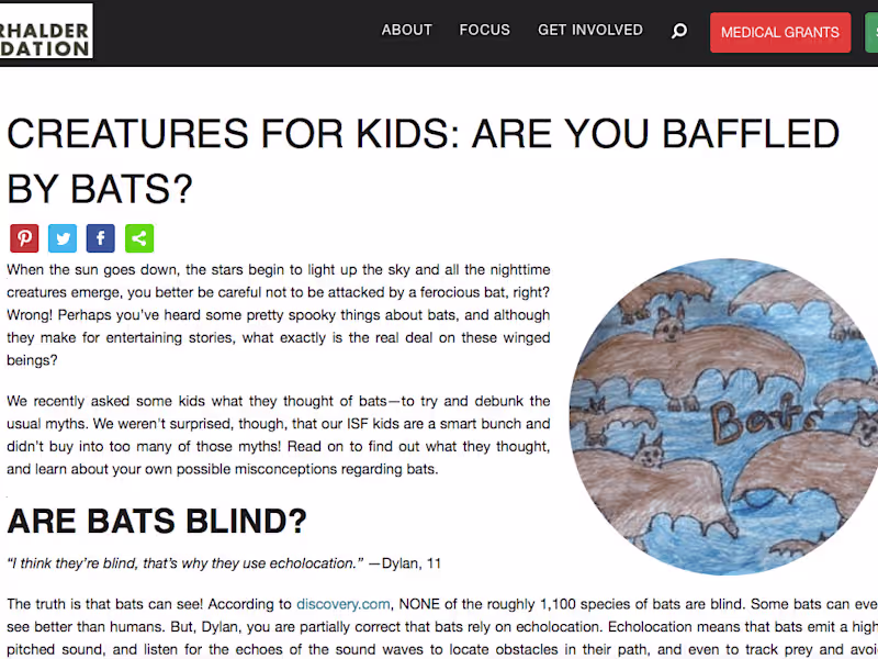 Cover image for Detail-oriented proofreader, enhancing business communications. 