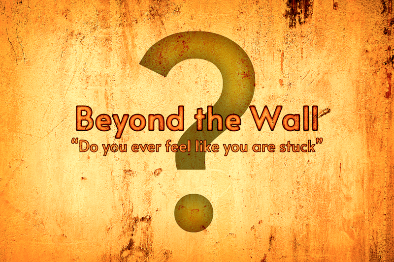 Cover image for “Beyond the Wall”