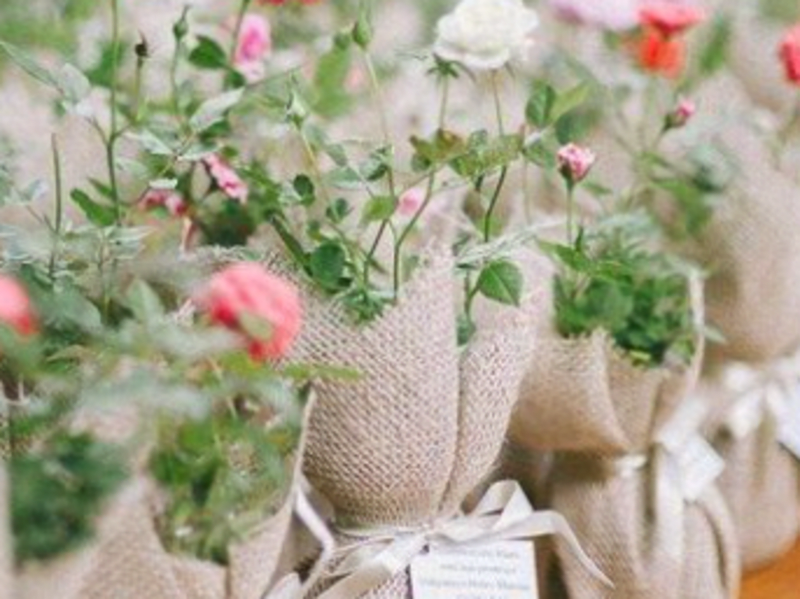 Cover image for Wake Up and Smell the Roses: 5 Tips for a productive morning