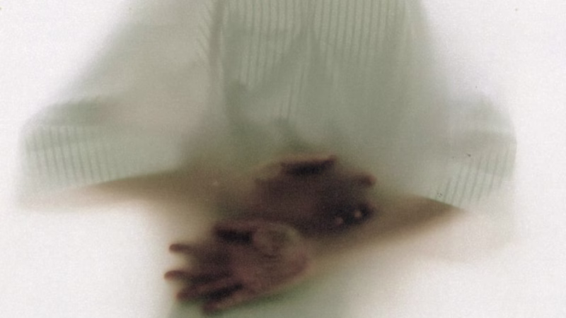 Cover image for Presentation Lookbook