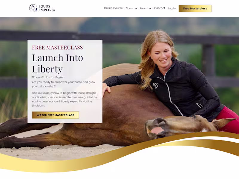 Cover image for Kajabi Site & Product Rebrand, Evergreen Funnel Setup