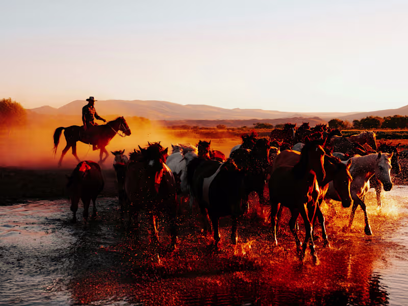 Cover image for Al amin Hasan