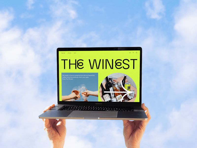 Cover image for The winest