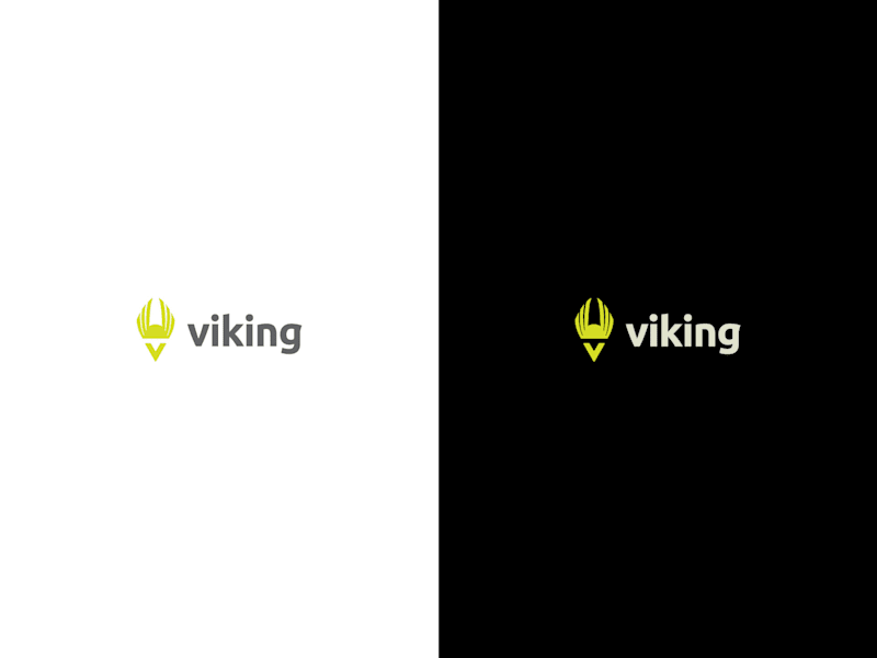 Cover image for The Viking App: Branding 