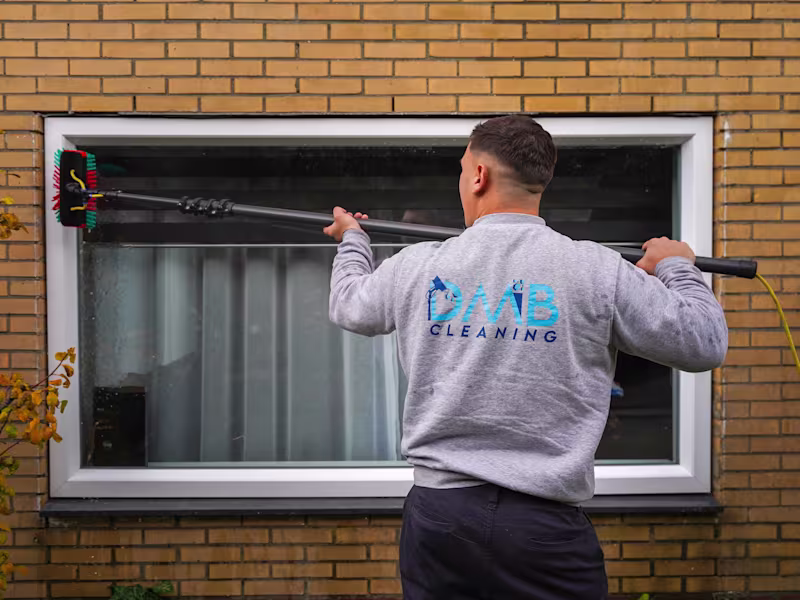Cover image for DMB Cleaning