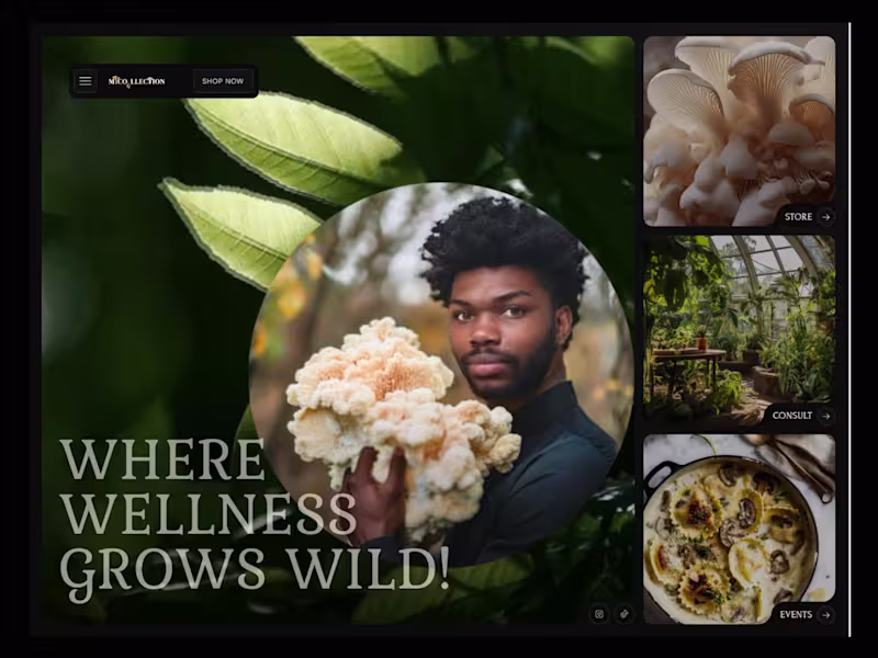 Cover image for Myco.llection - Where wellness grows Wild! Mushrooms VA