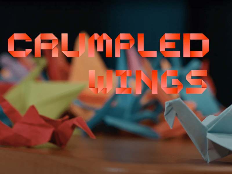 Cover image for Crumpled Wings | Short Film