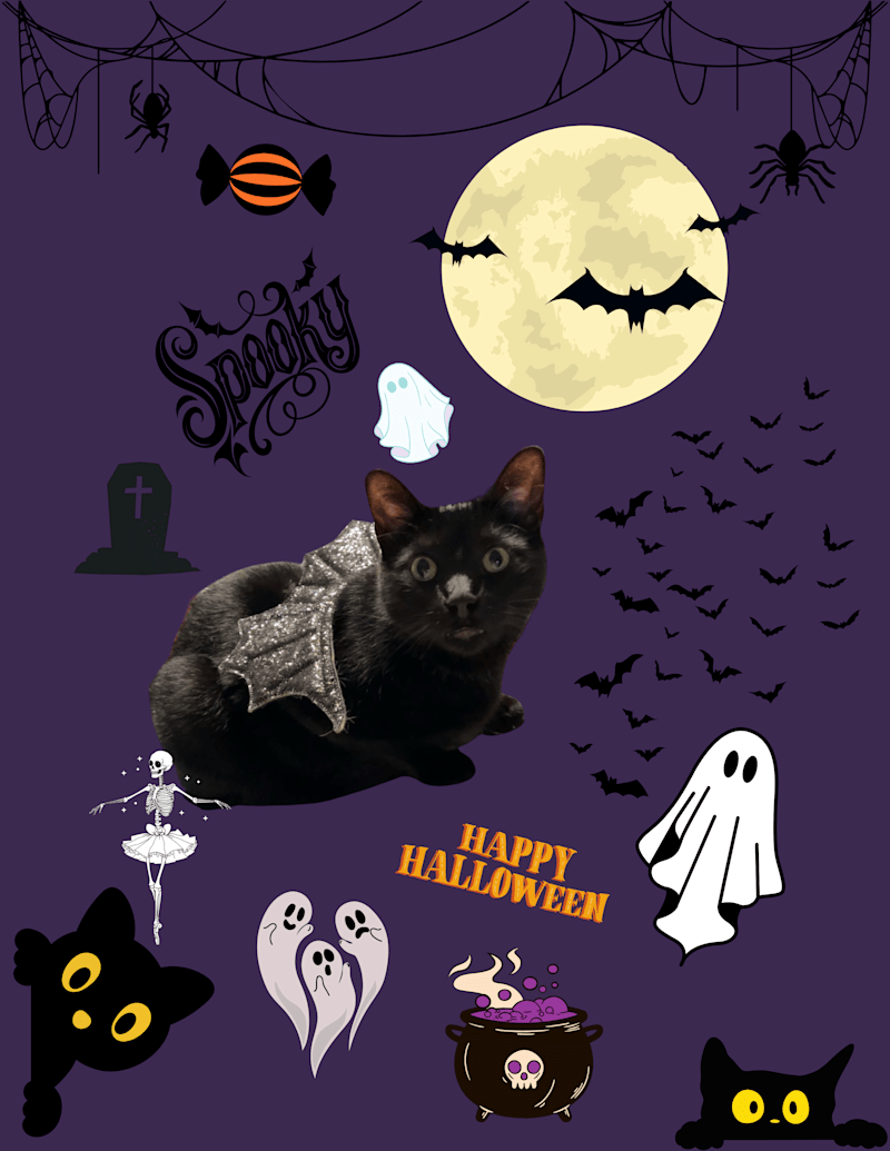 Cover image for My little spooky boy