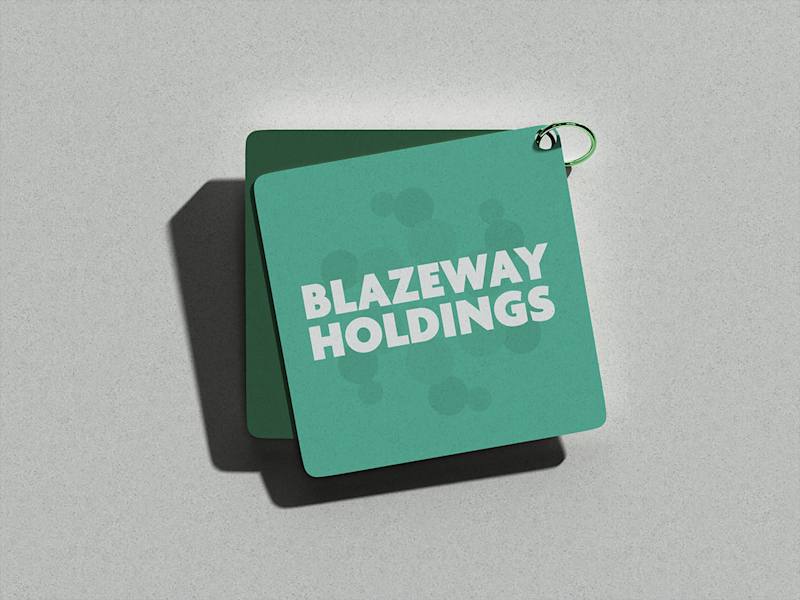 Cover image for Blazeway Holdings