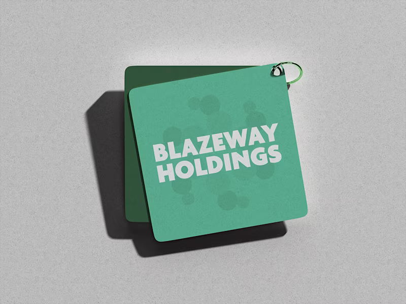 Cover image for Blazeway Holdings