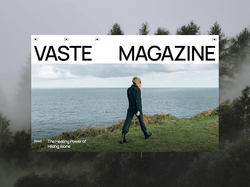 Cover image for VASTE | Website