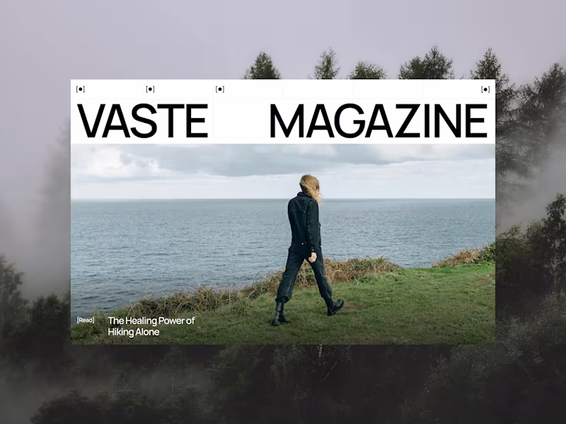 Cover image for VASTE | Website