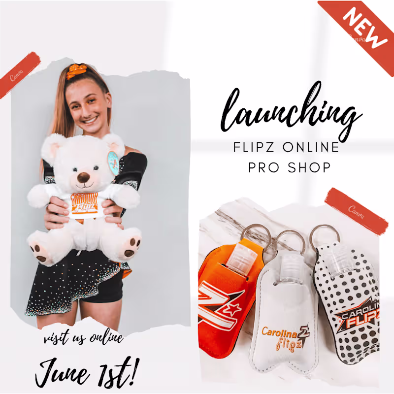 Cover image for Pro Shop Templates