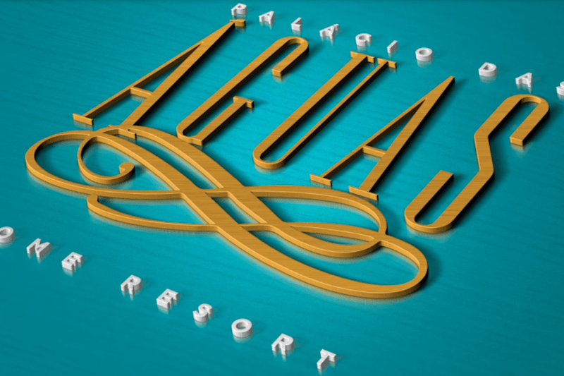 Cover image for Designer