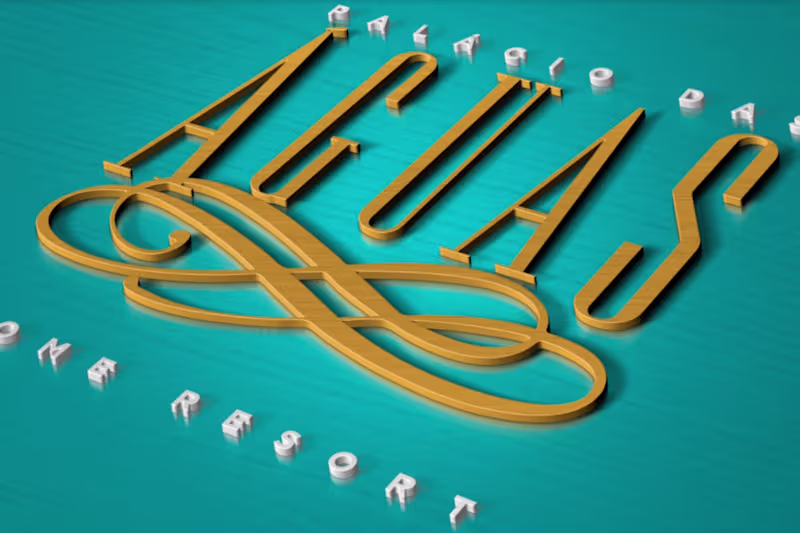 Cover image for Designer