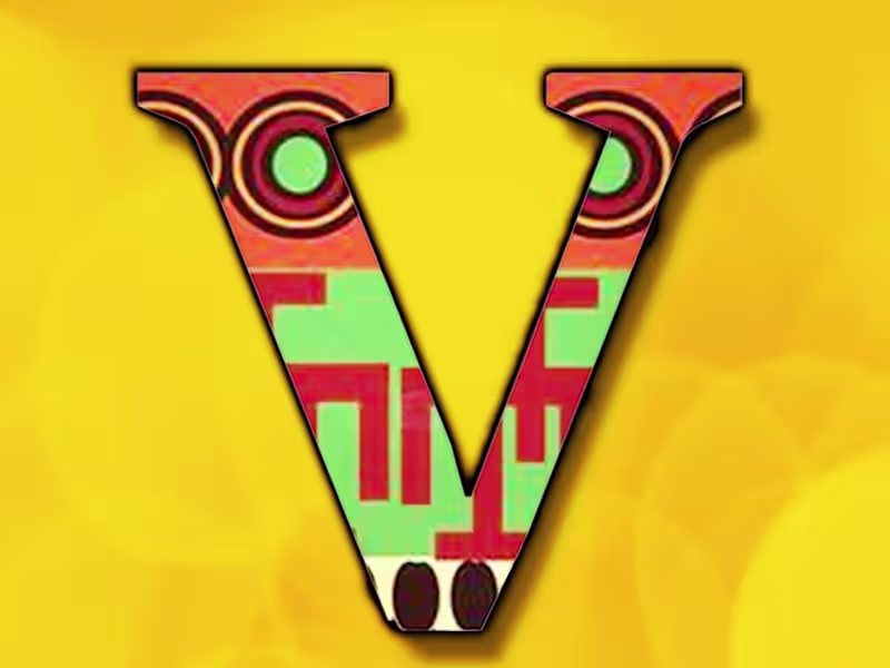 Cover image for VINTU