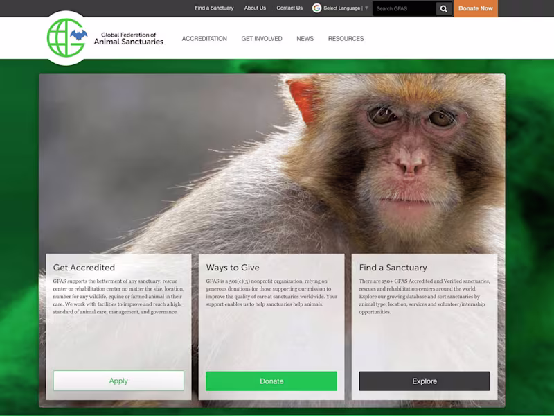 Cover image for Protecting At-Risk Animals