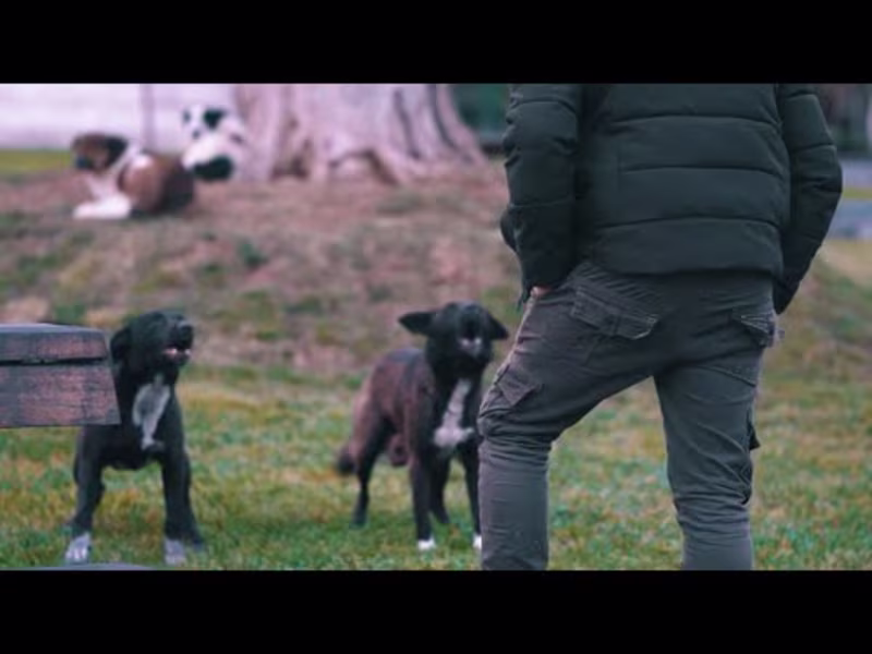 Cover image for laugh - YouTube