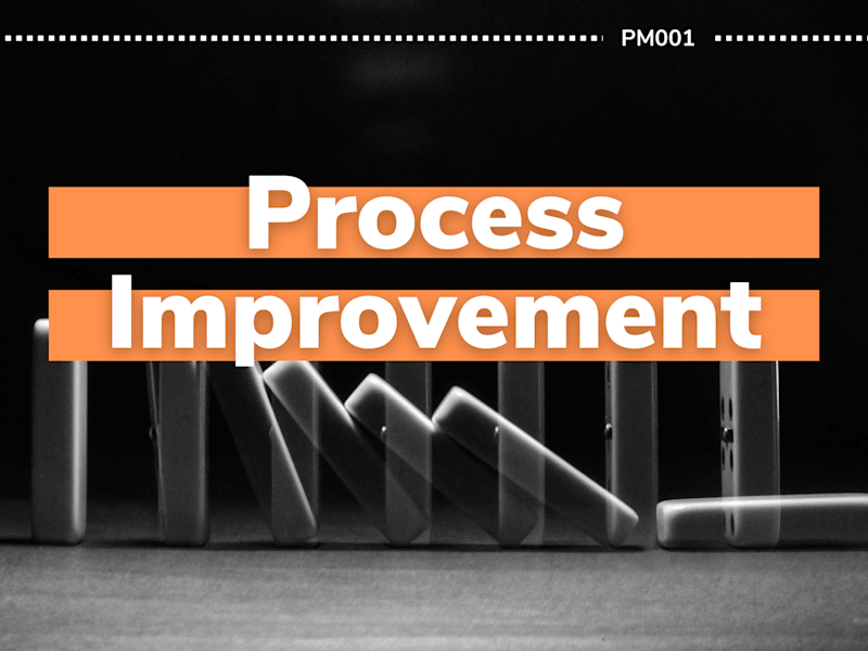 Cover image for Process Improvement