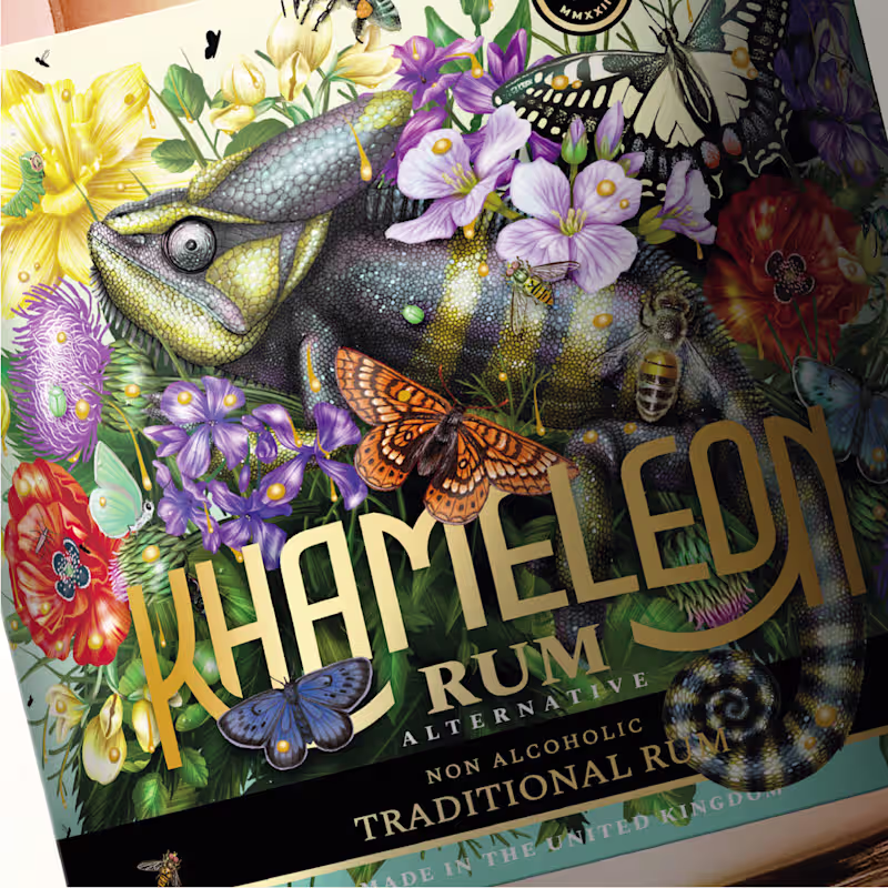 Cover image for Khameleon Brand Identity :: Behance