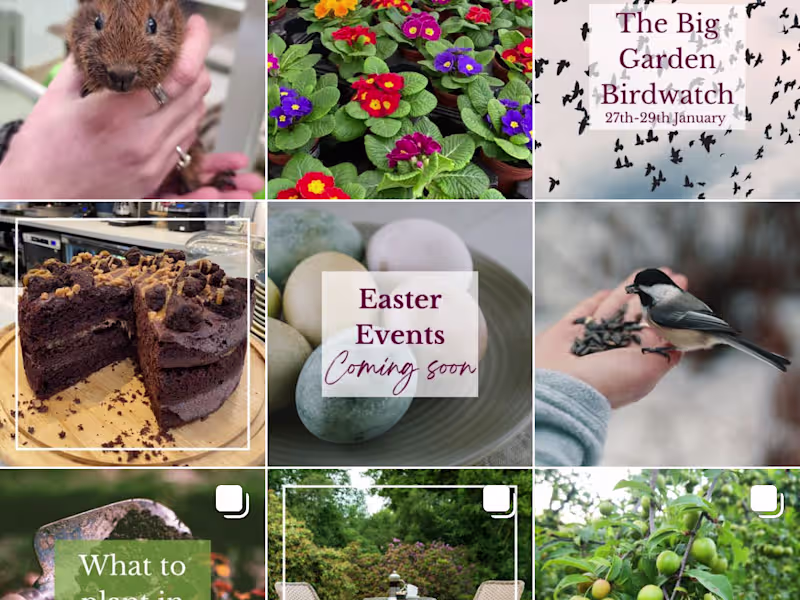 Cover image for Social Media that Defines Your Brand 