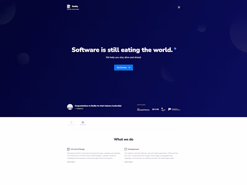 Cover image for Radity
