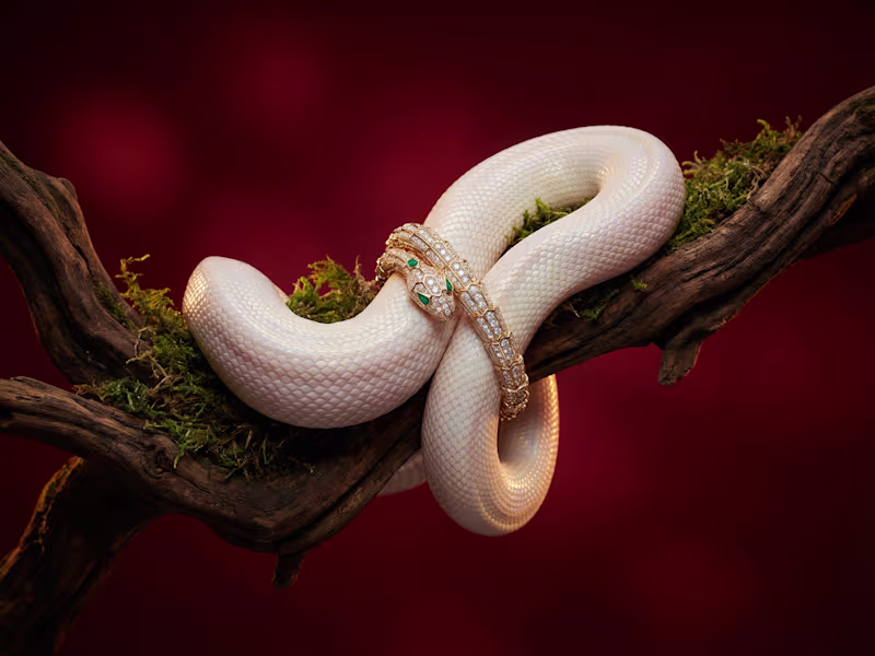 Cover image for Professional AI-Generated 4K Videos for Any Product