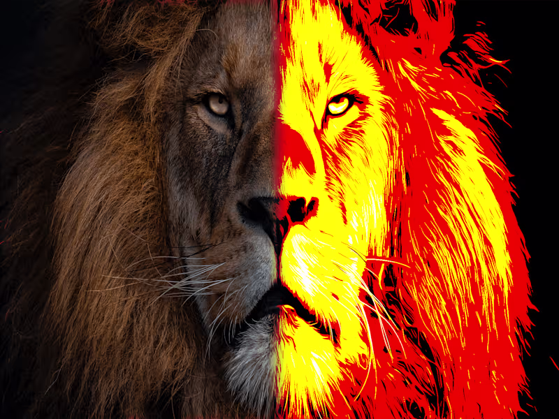 Cover image for Illustration Effect