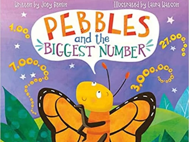 Cover image for Pebbles and the Biggest Number