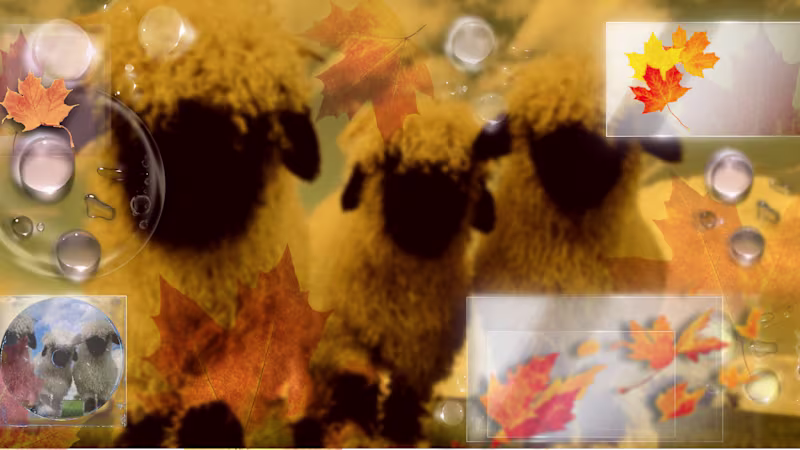 Cover image for My Fall PC Wallpaper🍁🌂 : A break down of the Warm fall Ton...