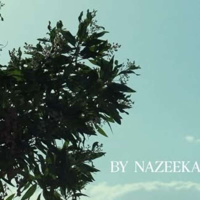 Cover image for Frame & Flow on Instagram: “Latest for @by_nazeeka”