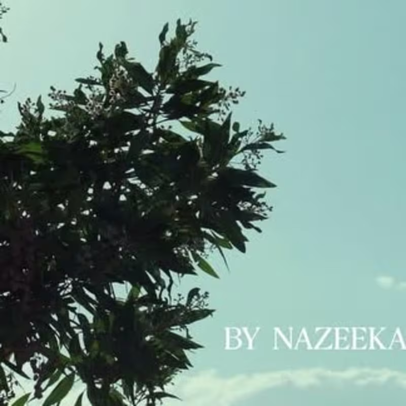 Cover image for Frame & Flow on Instagram: “Latest for @by_nazeeka”