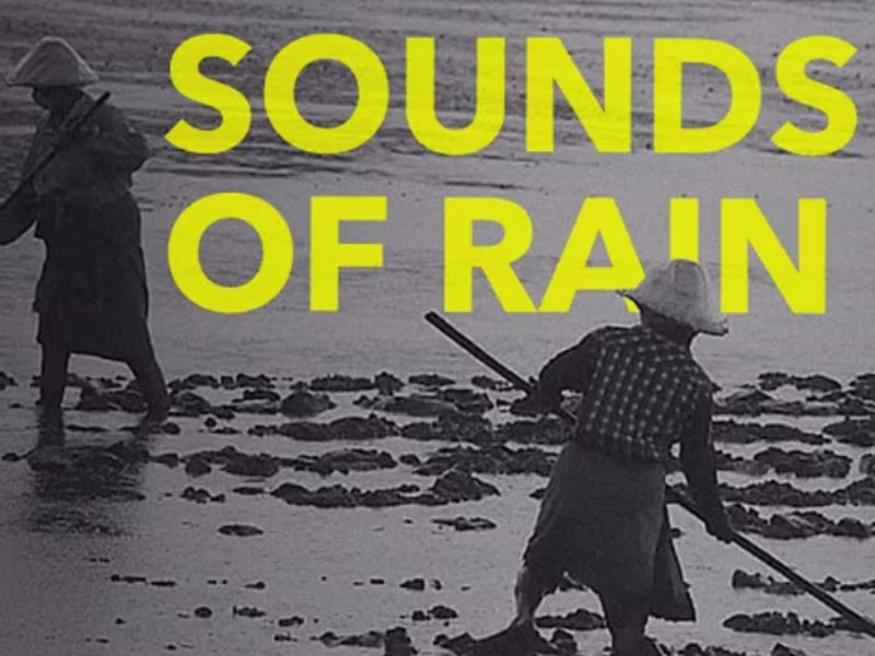 Cover image for The Sounds of Rain: experience the monsoon in Kerala - YouTube
