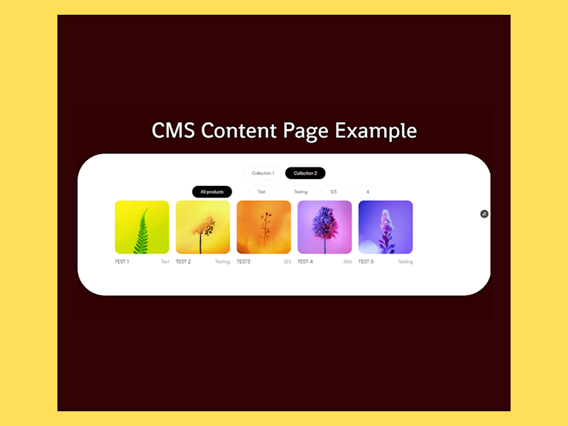 Cover image for CMS Filtering between Collections and Category