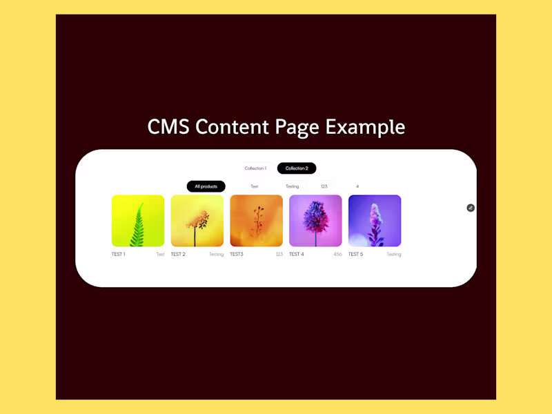 Cover image for CMS Filtering between Collections and Category