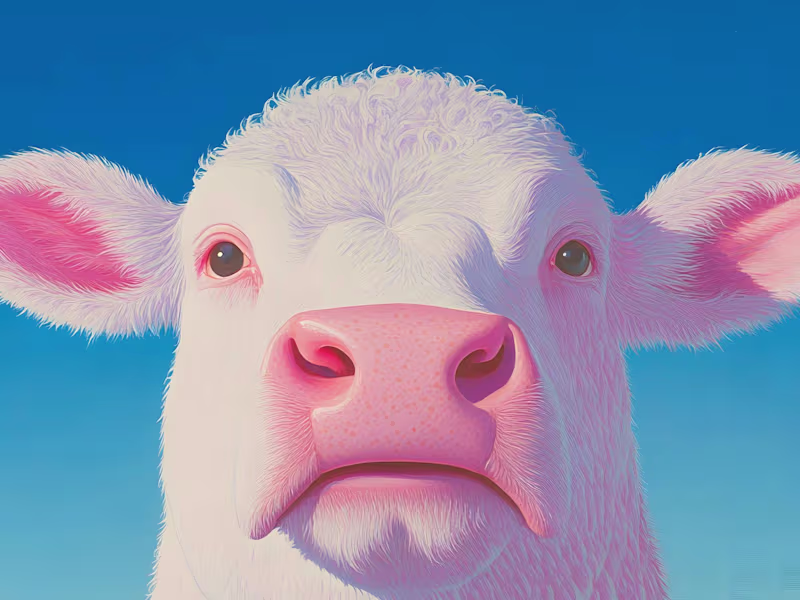 Cover image for Market analysis and customer needs assessment