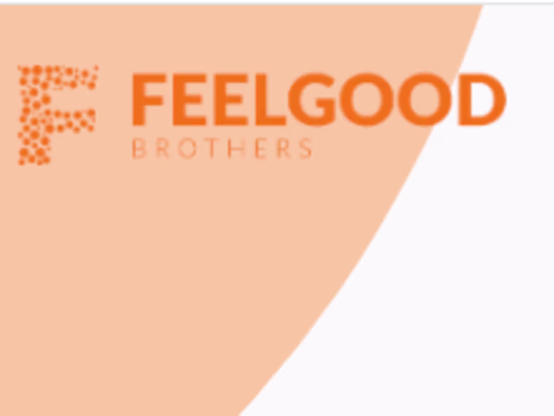 Cover image for Feelgood brothers website