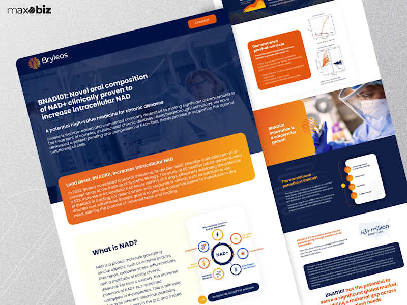Cover image for Netra Stones Website