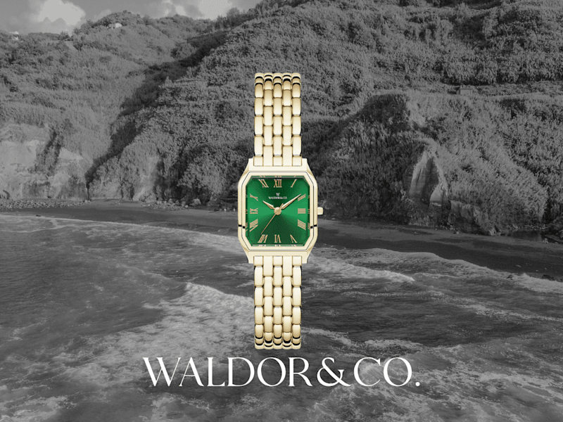 Cover image for Waldor&Co