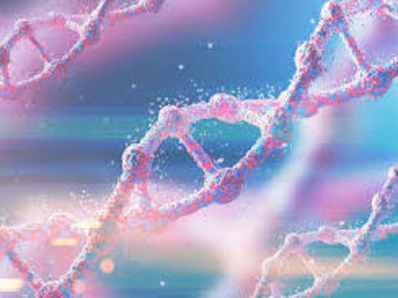 Cover image for Genomic Primer Alignment Tool
