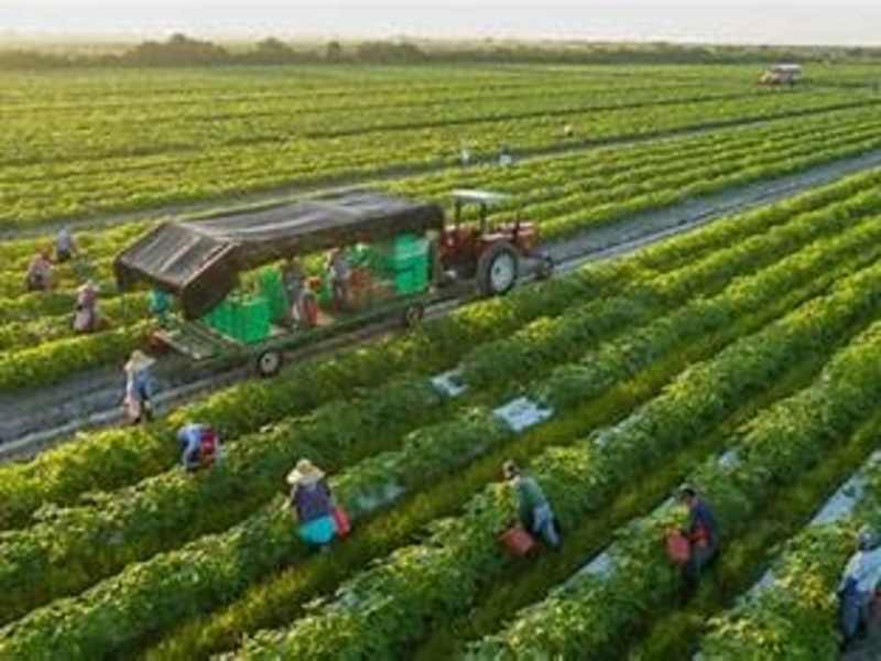 Cover image for Title: Cultivating Sustainability: The Imperative of Modern Agri