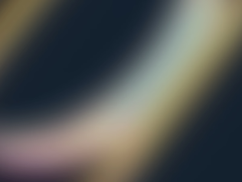 Cover image for Website Development