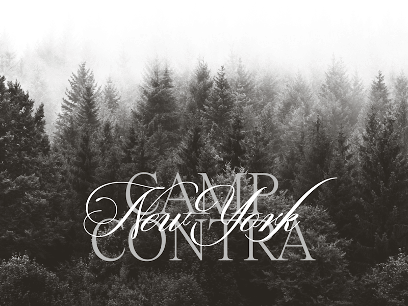 Cover image for (contra)