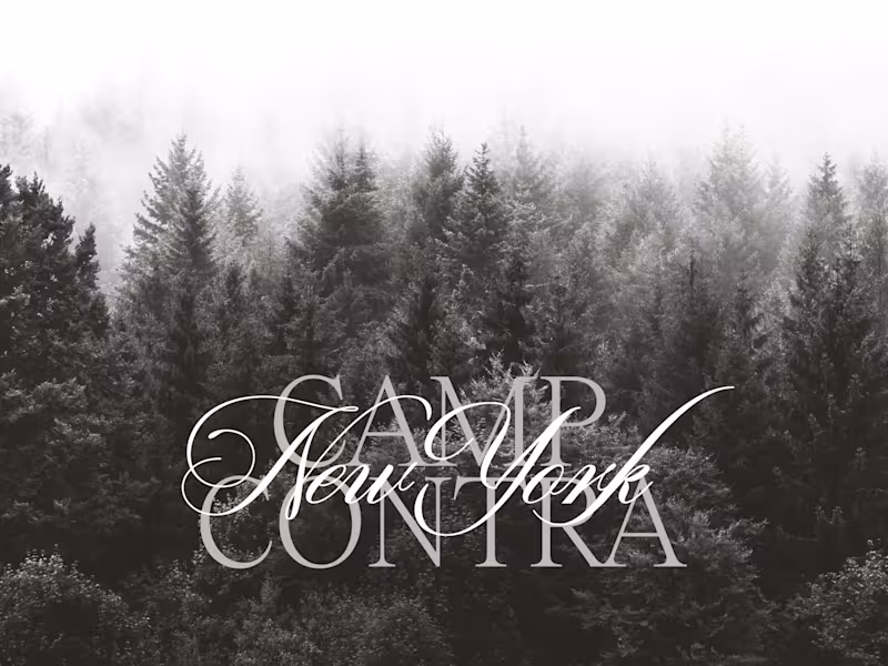 Cover image for (contra)