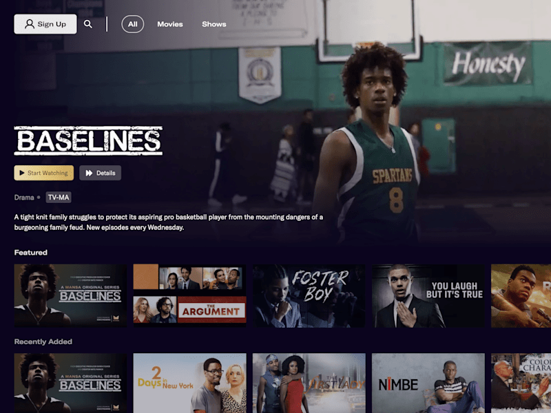 Cover image for Streaming Platform Development