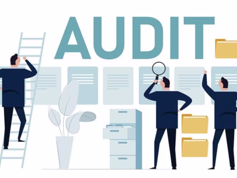 Cover image for Data Audit